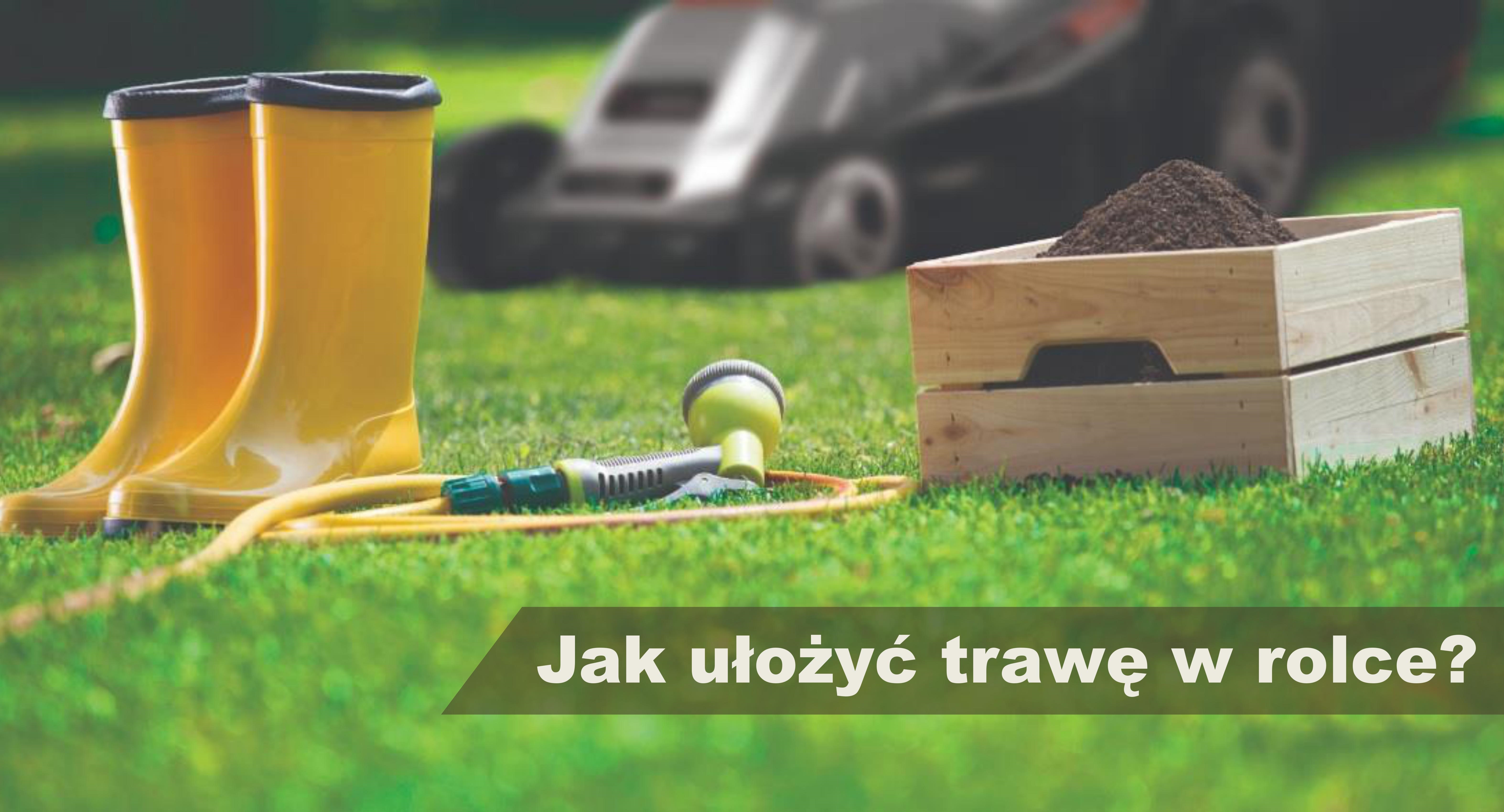 Jak ułożyć trawę w rolce?