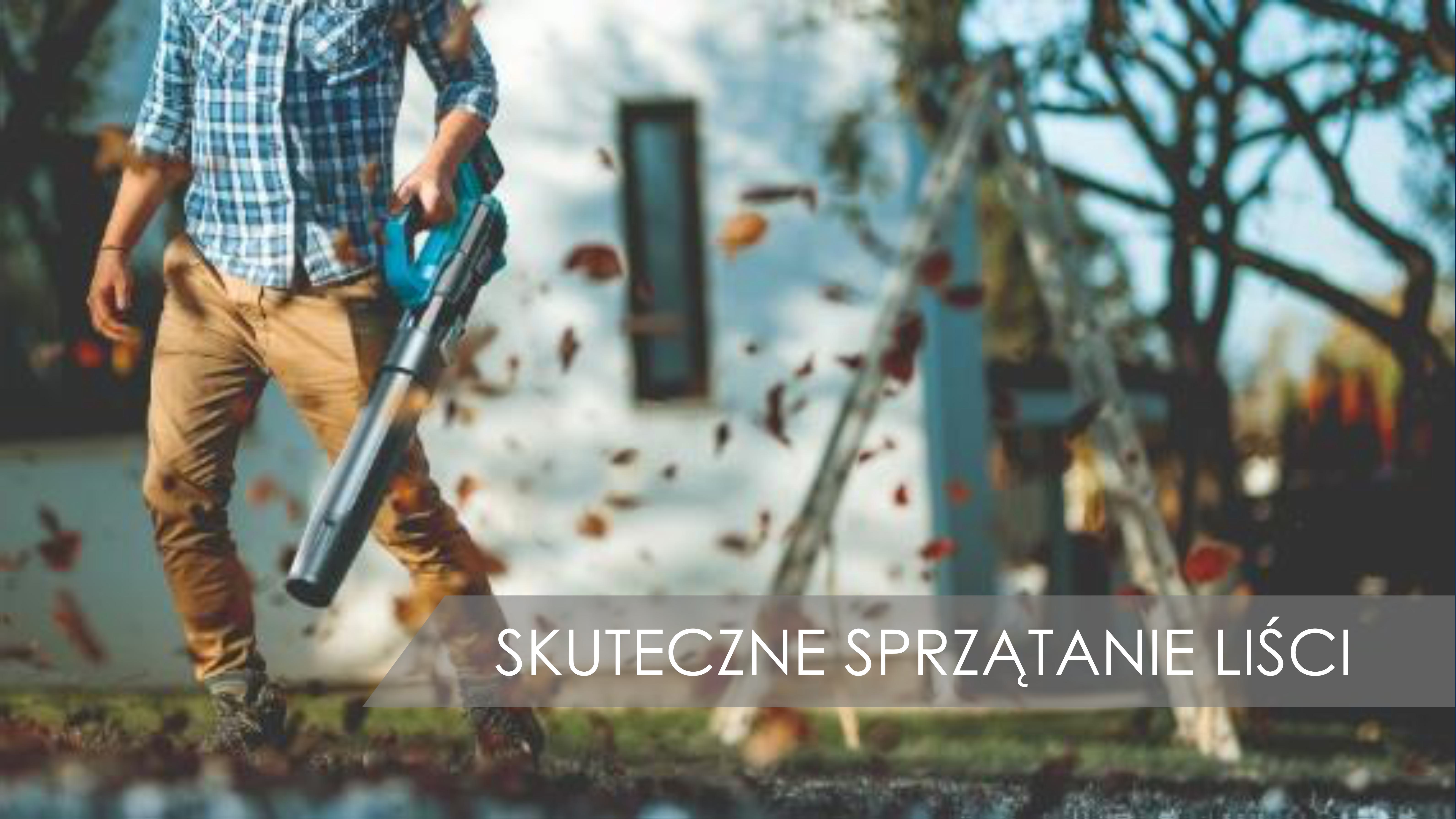 Najlepsze metody na skuteczne sprzątanie liści