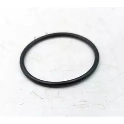 #19 O-ring do pompy do wody GARDEN DEDRA DED8869LCD