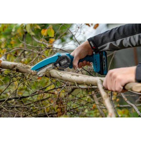 Zestaw ogrodowy w walizce: mini-piła łańcuchowa, akumulator 2Ah i ładowarka DEDRA DED7030A11 - DED6984+DED7032+DED7038 walizka