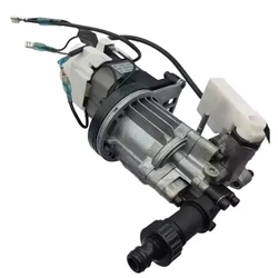 #115 Pompa kpl. (wraz z silnikiem elektrycznym) do myjki ciśnieniowej DEDRA DED8820