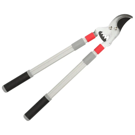 Sekator nożycowy do gałęzi Garden DEDRA 80A022 BY PASS, przekładnia, teleskopowy