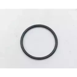 #22 O-ring do mieszadła do zapraw PANSAM A140010