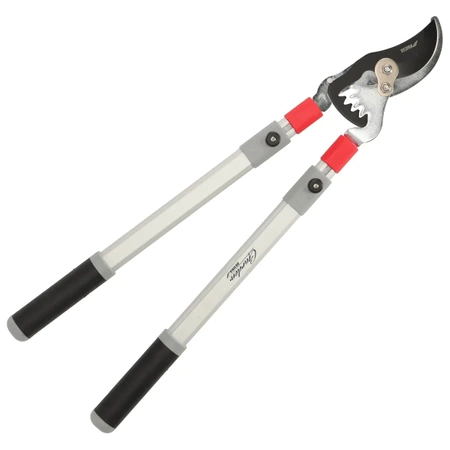 Sekator nożycowy do gałęzi Garden DEDRA 80A022 BY PASS, przekładnia, teleskopowy