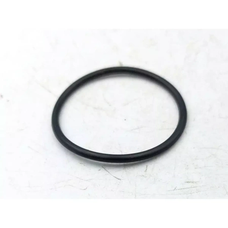 #19 O-ring do pompy do wody GARDEN DEDRA DED8868LED