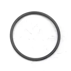 #27 Oring do pompy zanurzeniowej GARDEN DEDRA DED8844